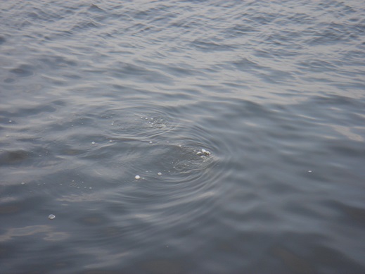 e0147297_11481248.jpg