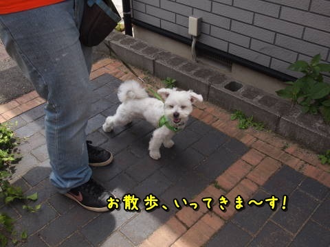 a0338800_20463324.jpg