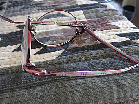 d0046702_1314535.jpg