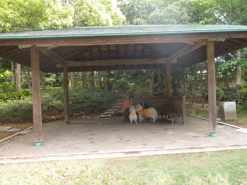e0018604_10292108.jpg