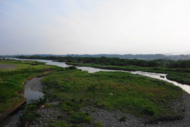 e0123808_12343.jpg