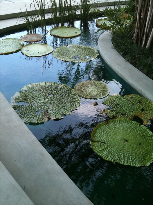f0233916_17172871.jpg