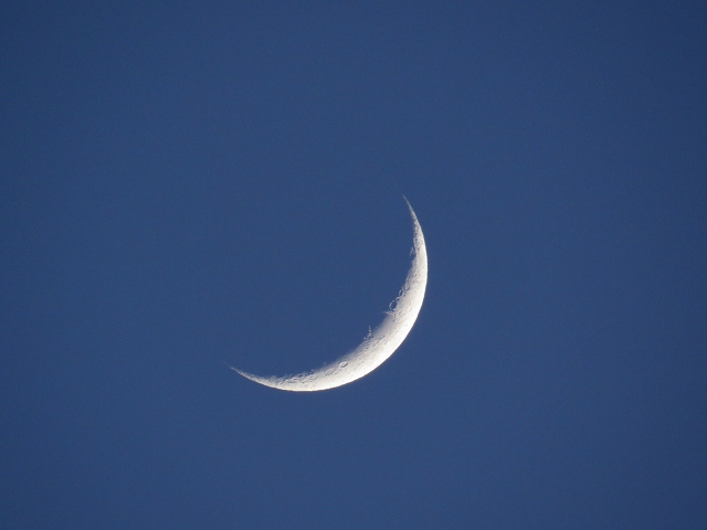 e0242721_1784477.jpg
