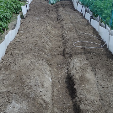e0311225_1137559.jpg