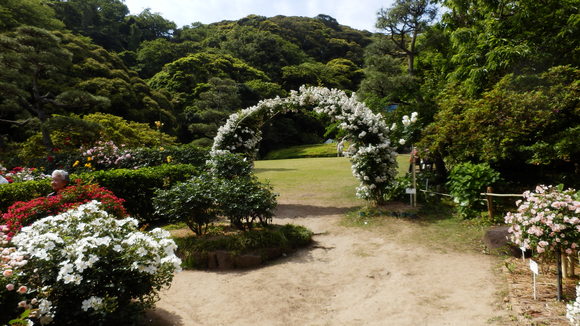 b0133329_22452073.jpg