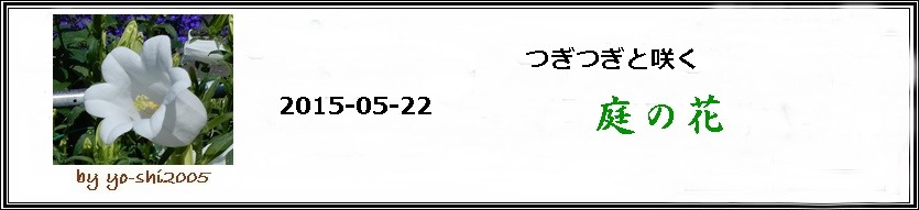 e0033229_2022515.jpg