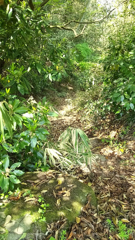 d0155630_14294498.jpg