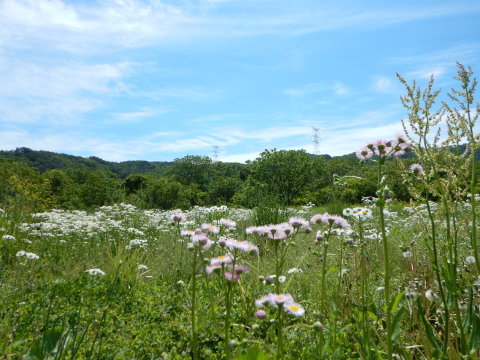 f0118332_23095641.jpg
