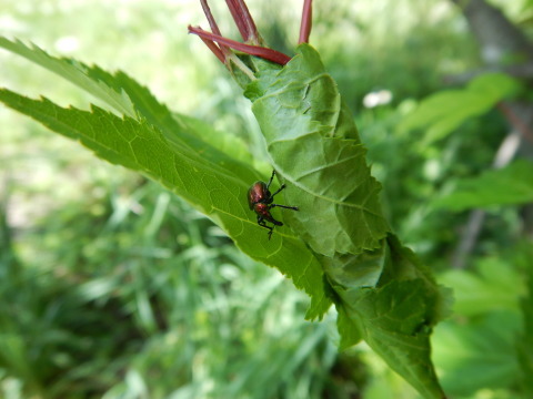 f0118332_23101019.jpg