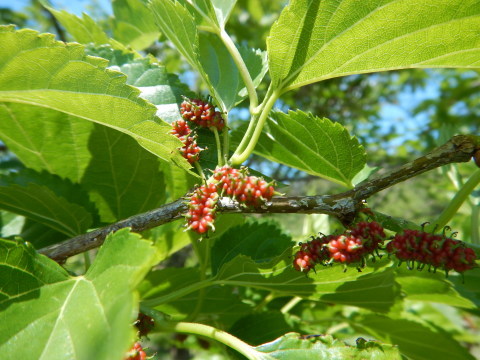 f0118332_23113485.jpg