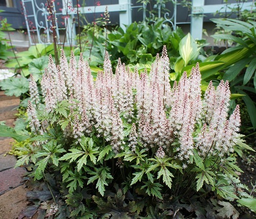 f0205733_00115715.jpg