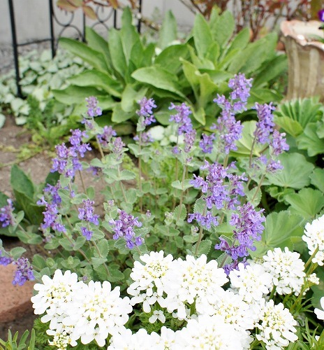 f0205733_00354424.jpg