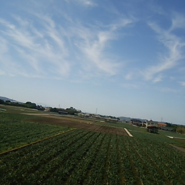 b0110035_01175104.jpg