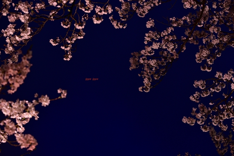 b0311736_07555623.jpg