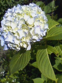 e0150843_20121293.jpg