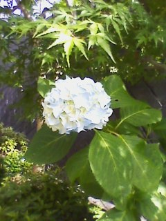 e0150843_20122913.jpg