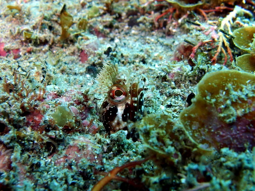 b0236647_12105234.jpg
