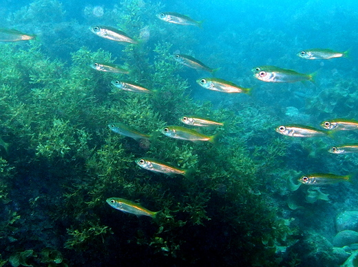 b0236647_12122788.jpg