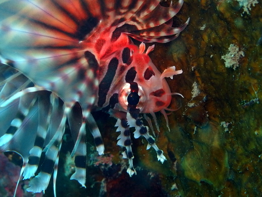 b0236647_12133646.jpg