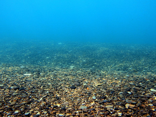b0236647_126799.jpg