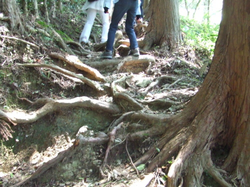c0367054_20011474.jpg