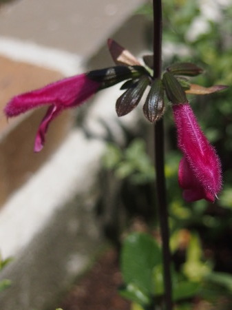 b0246758_21494935.jpg