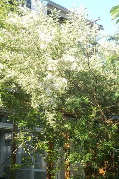 a0150860_22272249.jpg