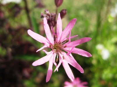 c0190960_2273635.jpg