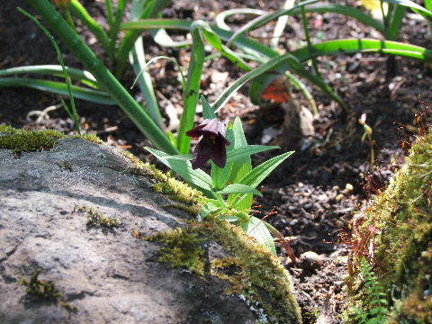 e0088260_10223550.jpg