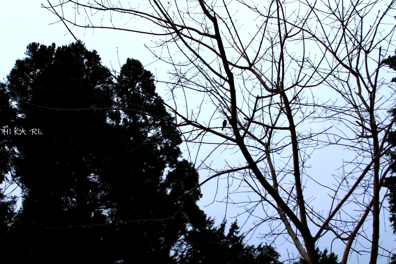 e0342760_00303962.jpg