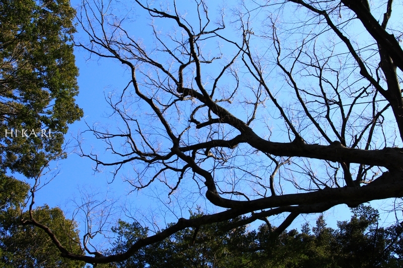 e0342760_00311527.jpg