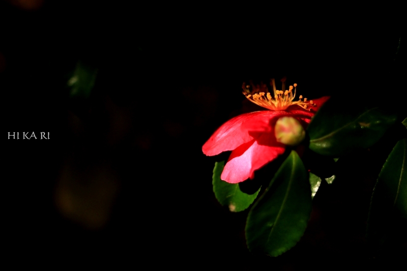 e0342760_00312179.jpg