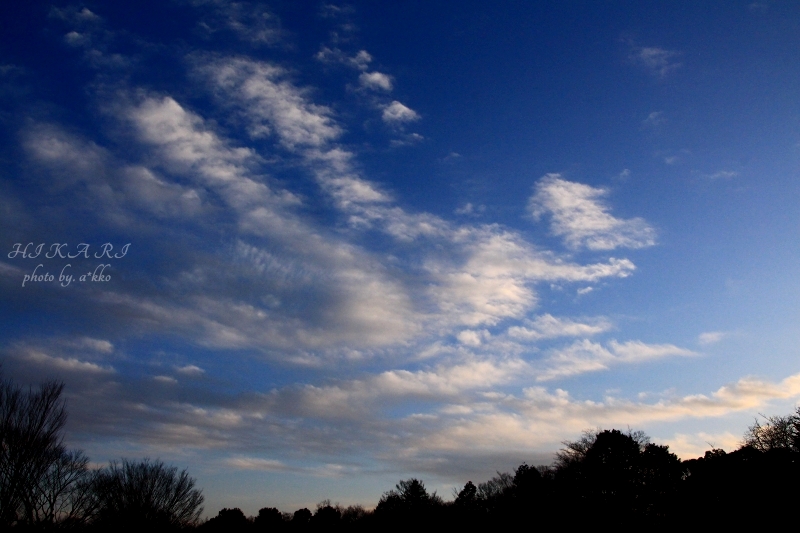 e0342760_00330078.jpg