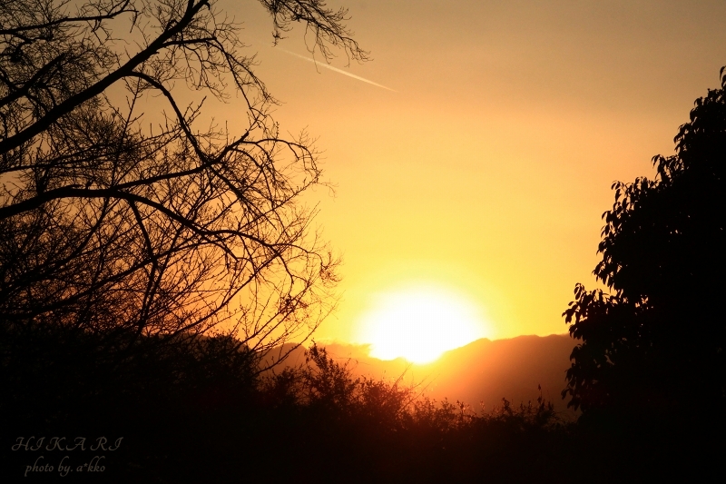 e0342760_00330101.jpg