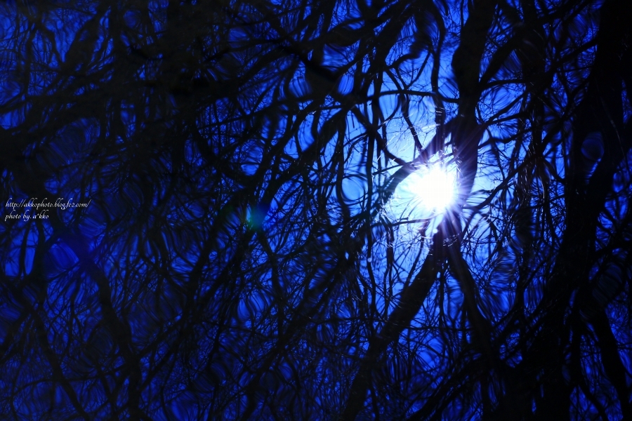 e0342760_00415015.jpg