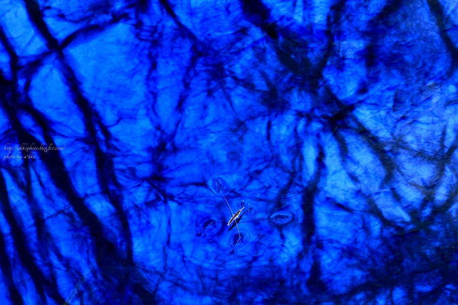 e0342760_00415597.jpg
