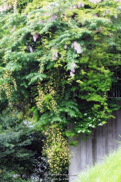 e0342760_00464770.jpg