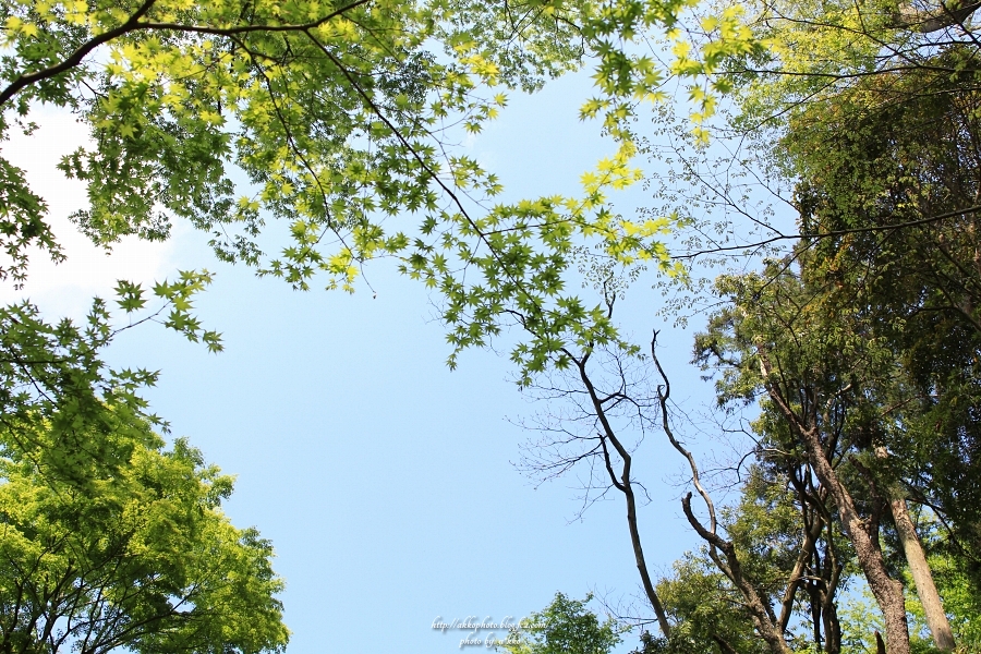 e0342760_00475907.jpg