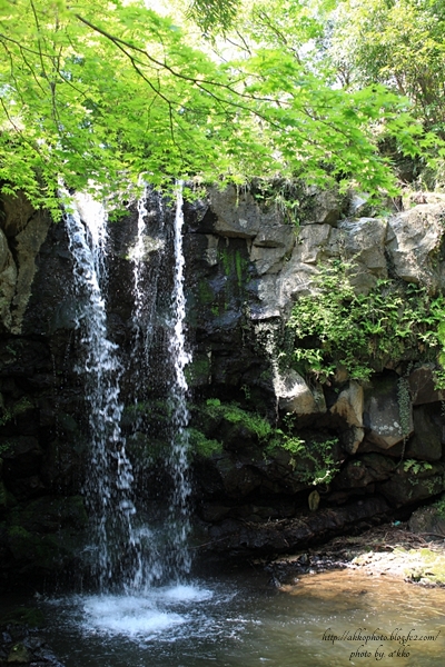 e0342760_00480015.jpg