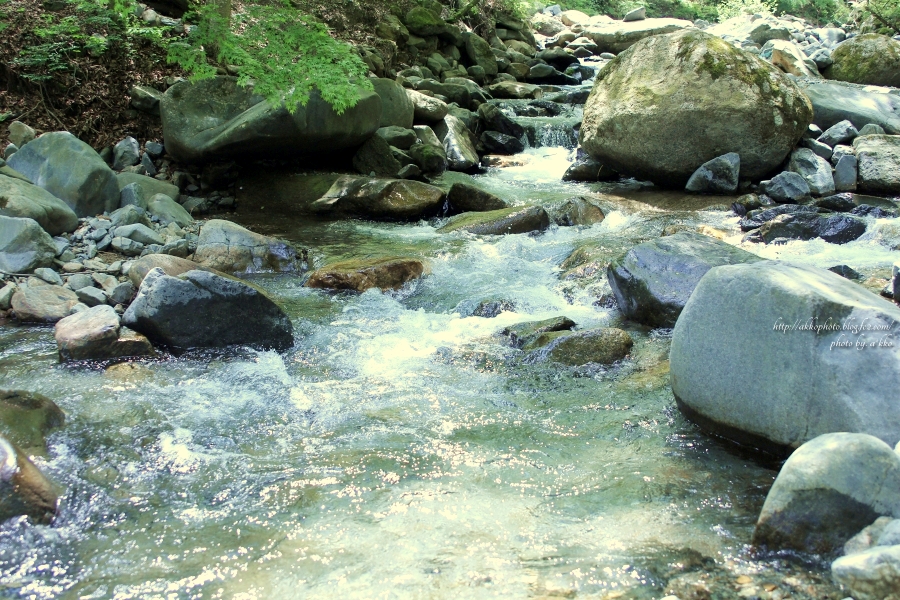 e0342760_00492547.jpg