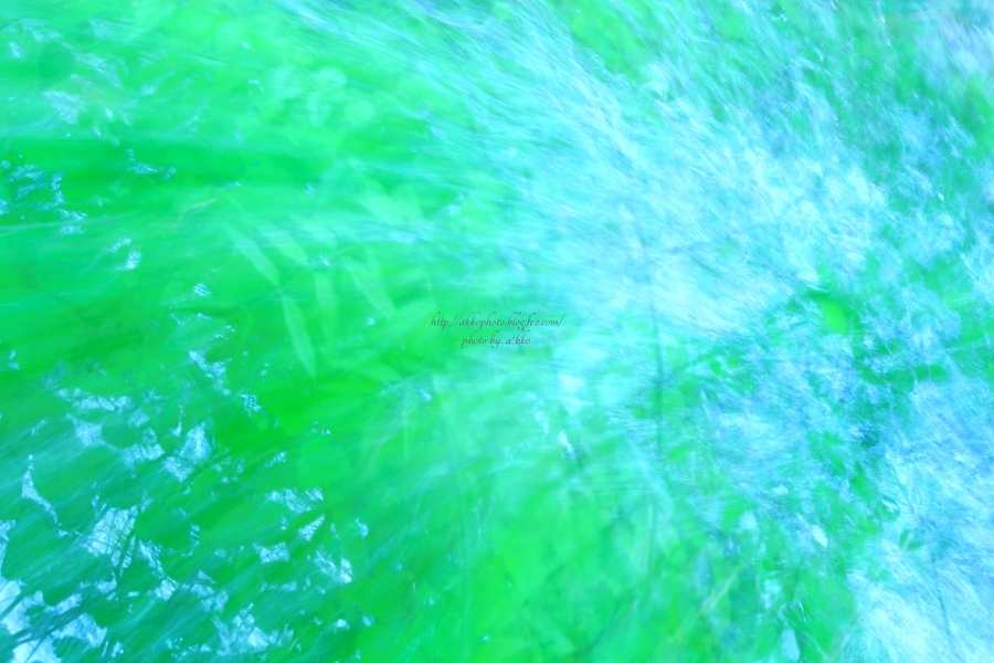 e0342760_00492670.jpg