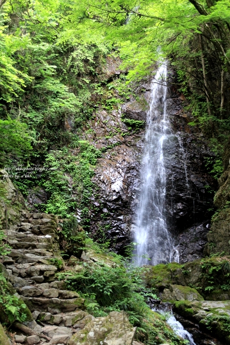 e0342760_00502892.jpg