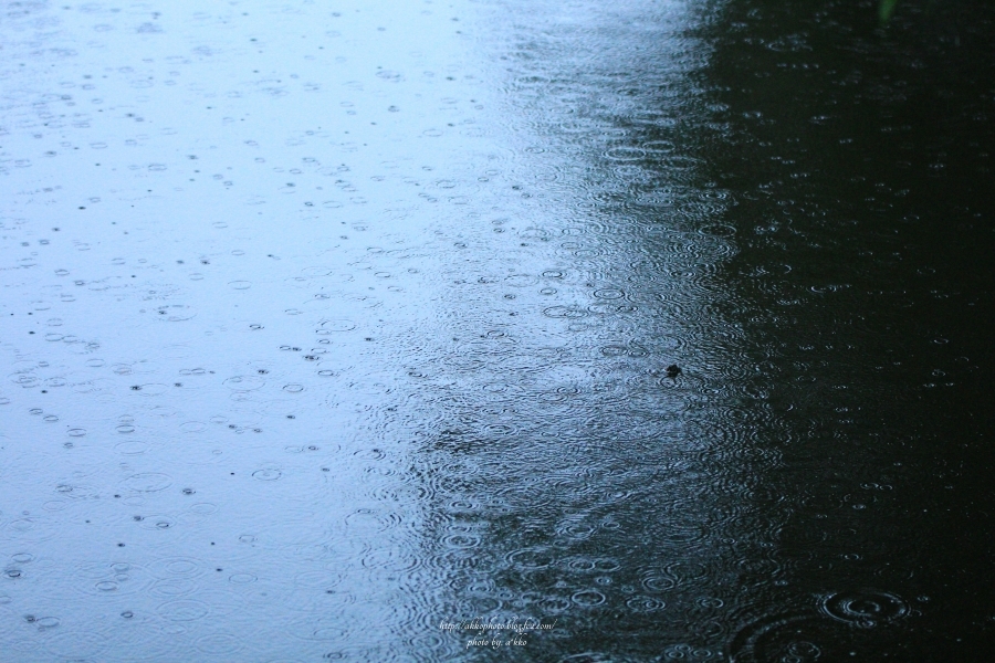 e0342760_00532577.jpg