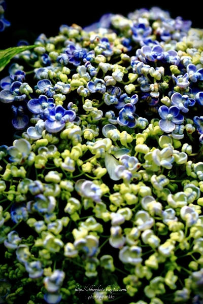 e0342760_00541781.jpg