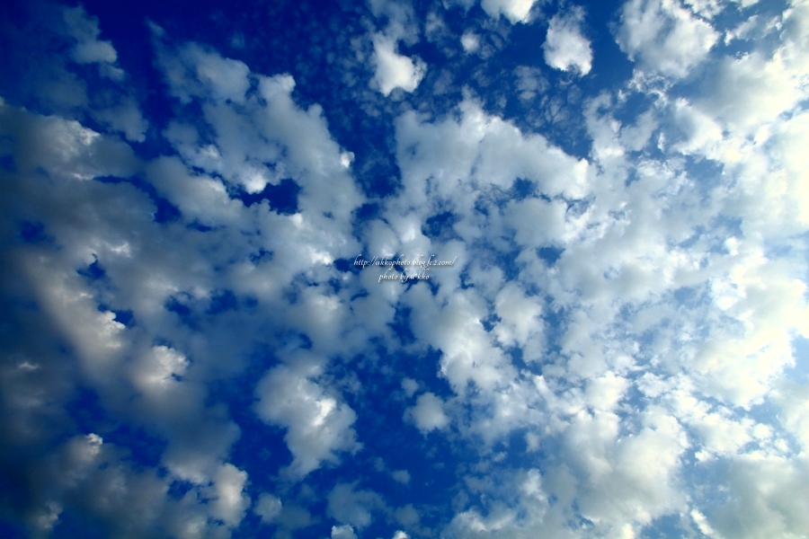e0342760_00545640.jpg