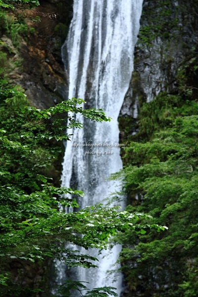 e0342760_00560926.jpg