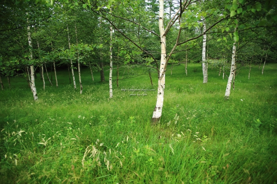 e0342760_00563442.jpg