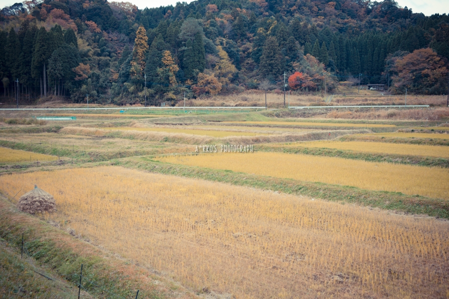 e0342760_01044517.jpg