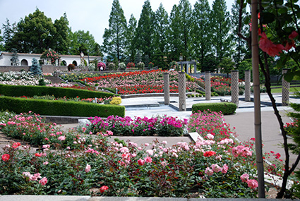 b0059664_18404263.jpg