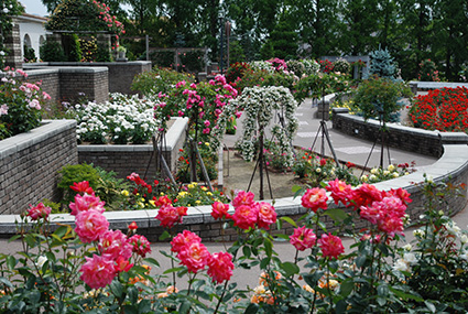 b0059664_18404538.jpg